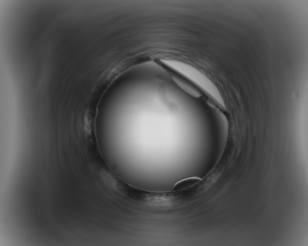 X0000086080282200703301135