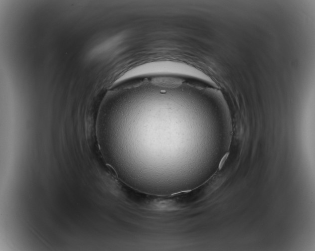 X0000086080283200703301135