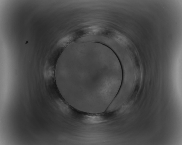 X0000086080284200703301135