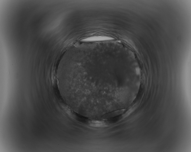 X0000086080285200703301135