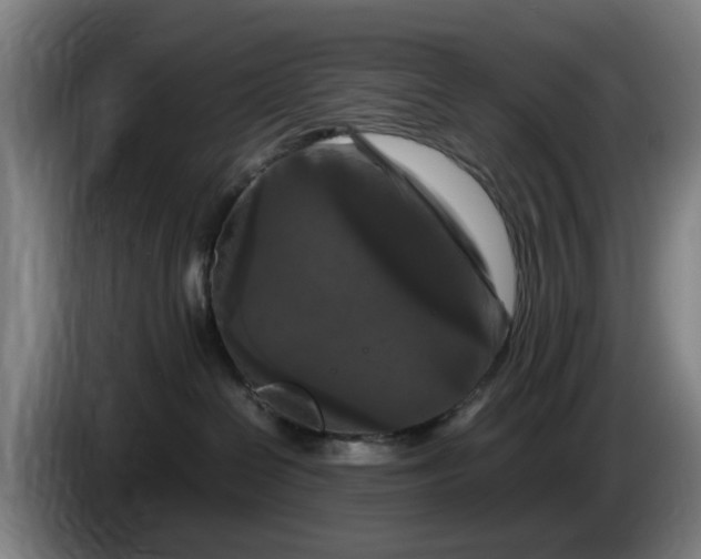 X0000086080286200703301135