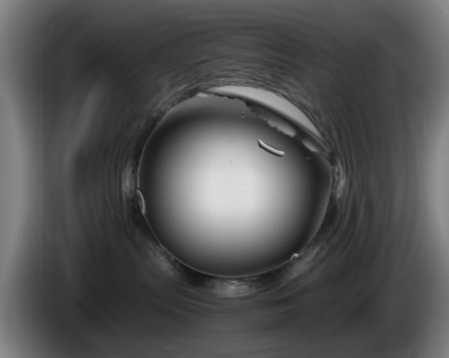 X0000086080287200703301135