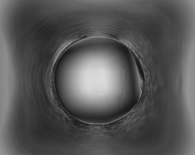 X0000086080289200703301135