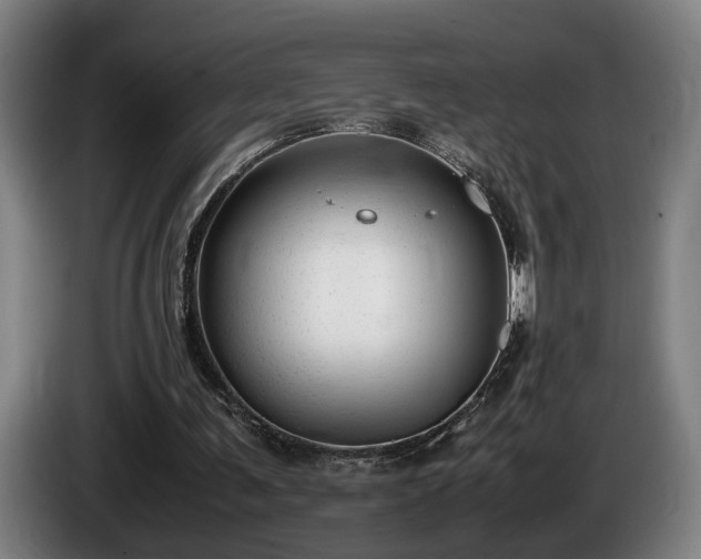 X0000086080291200703301135