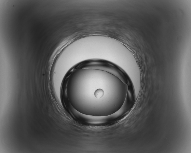 X0000086080293200703301135