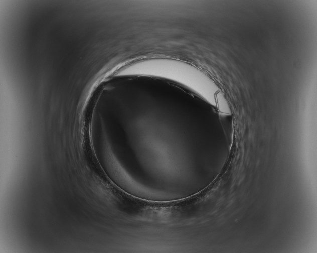 X0000086080295200703301135