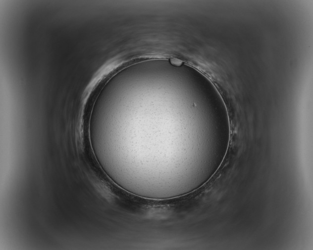 X0000086080296200703301135