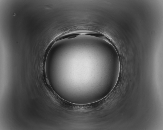 X0000086080297200703301135