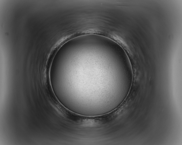 X0000086080298200703301135