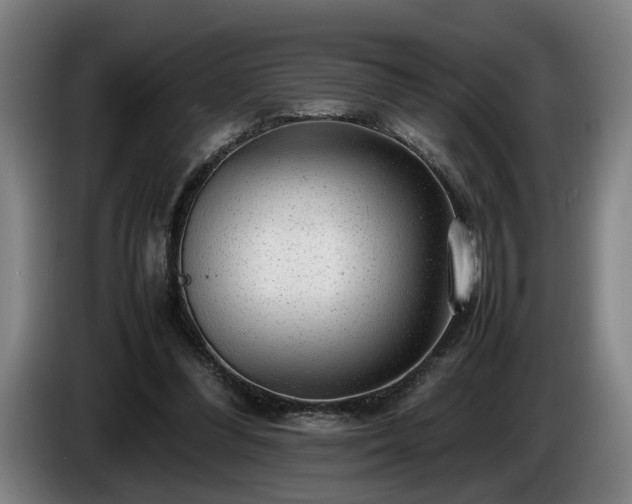 X0000086080300200703301135