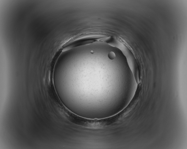 X0000086080301200703301135