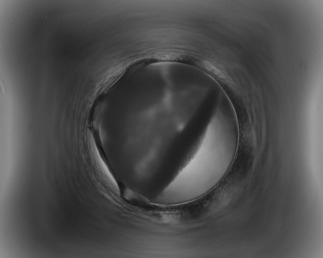 X0000086080303200703301135