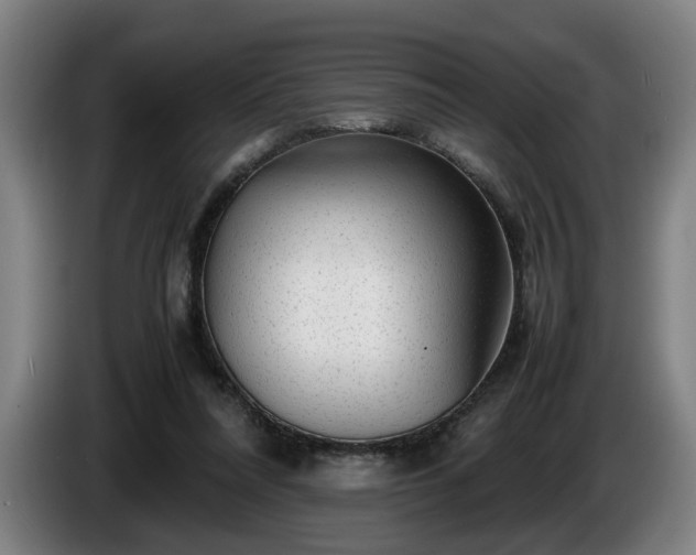 X0000086080304200703301134