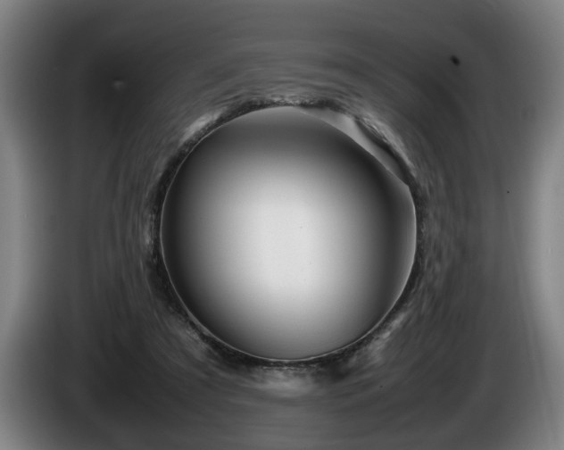 X0000086080305200703301134