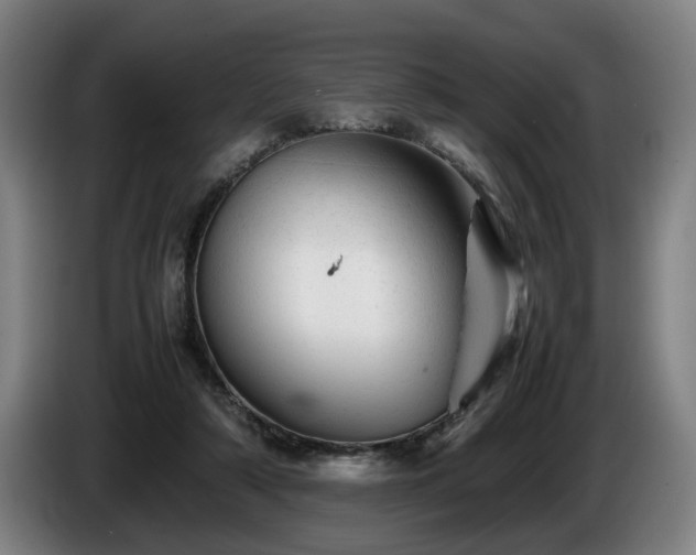 X0000086080306200703301134