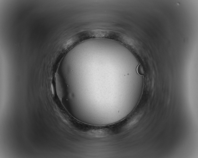 X0000086080307200703301134