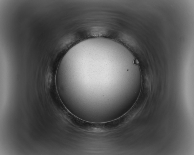 X0000086080308200703301134