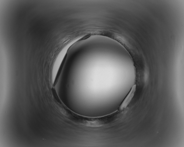 X0000086080309200703301134