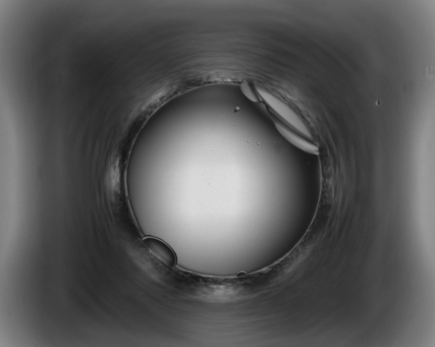 X0000086080310200703301134