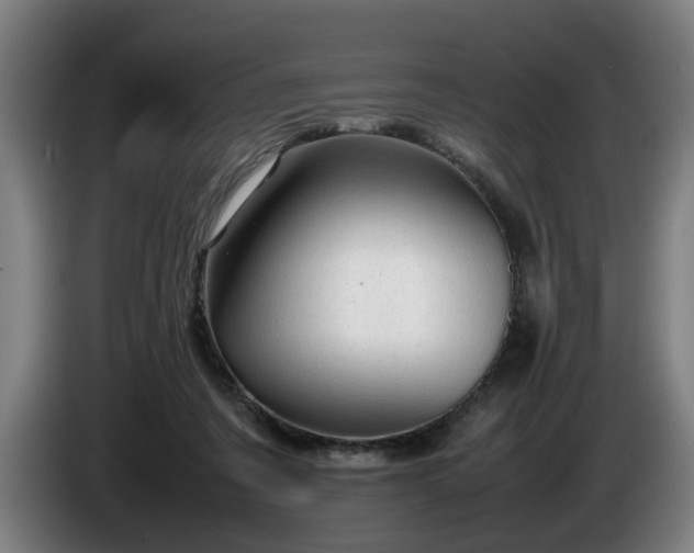 X0000086080311200703301134