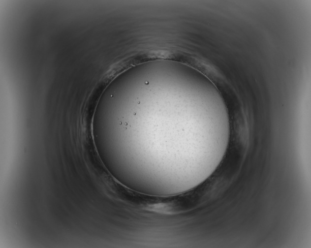 X0000086080312200703301134