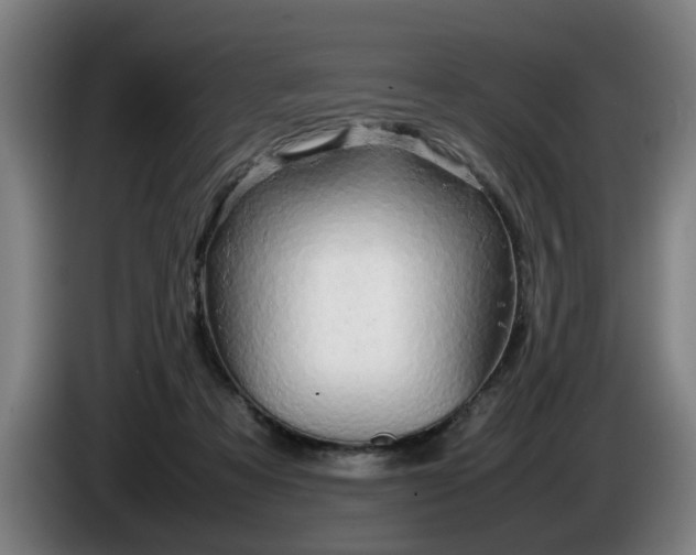 X0000086080313200703301134