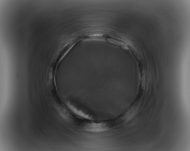 X0000086080314200703301134