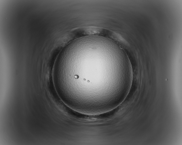 X0000086080315200703301134