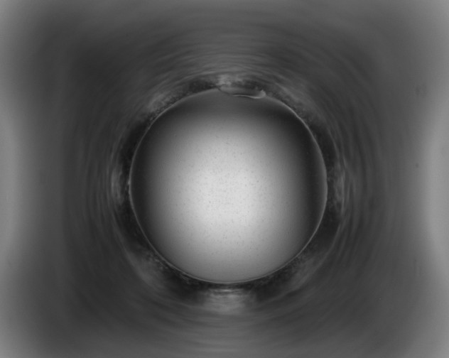 X0000086080316200703301134