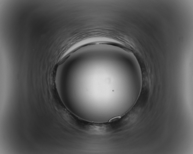 X0000086080317200703301134