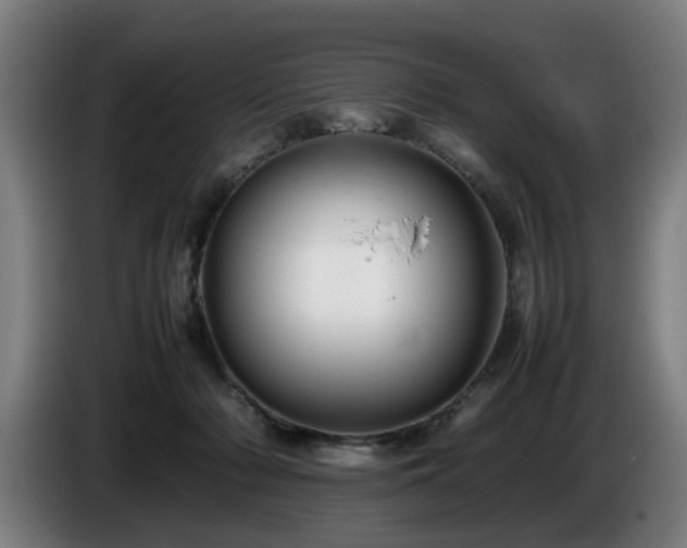 X0000086080318200703301134