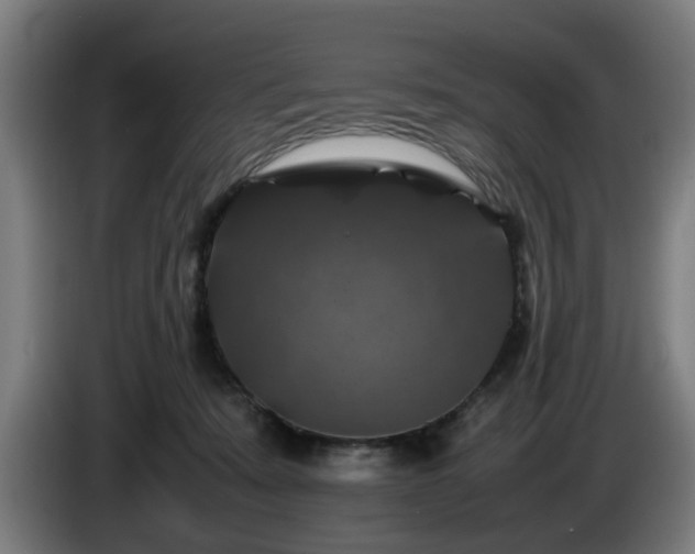 X0000086080319200703301134