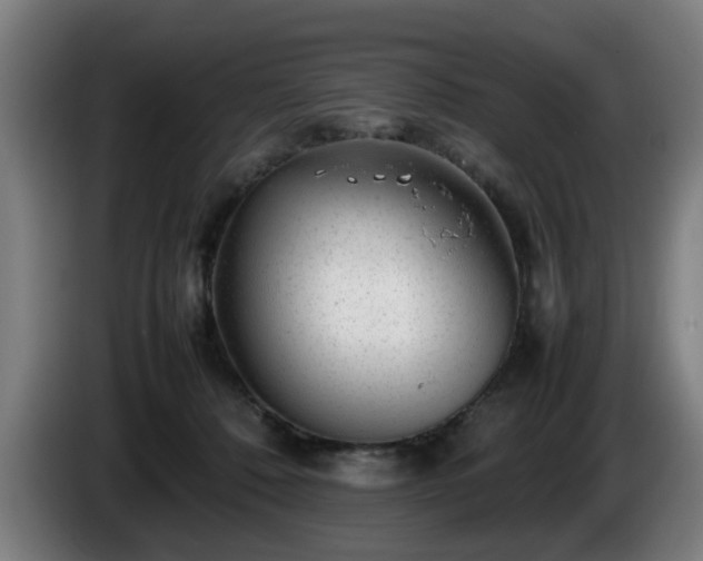 X0000086080320200703301134