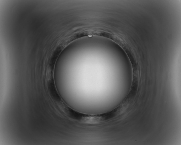 X0000086080323200703301134