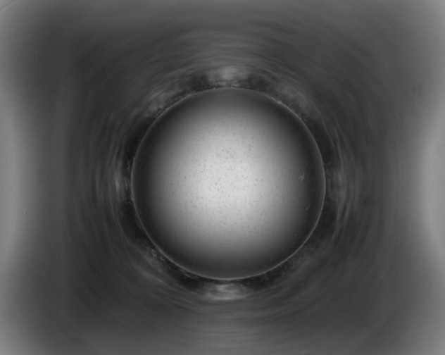 X0000086080324200703301134