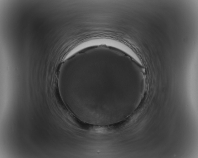 X0000086080325200703301134