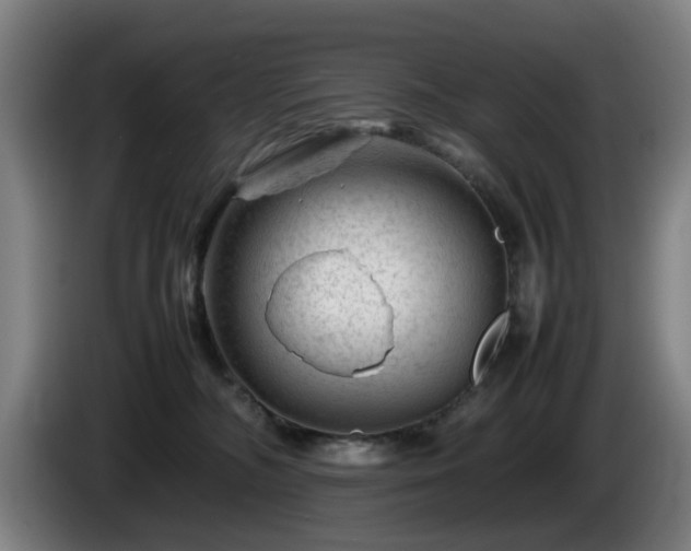 X0000086080326200703301134