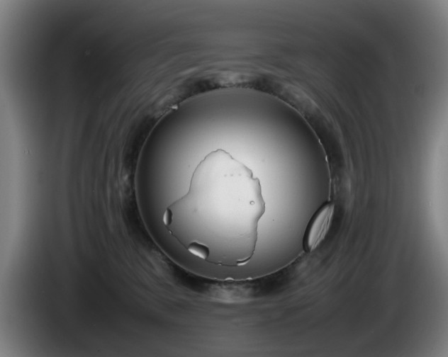 X0000086080327200703301134