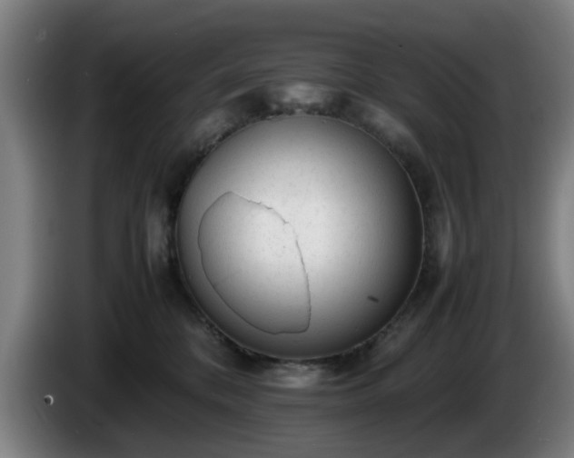 X0000086080328200703301134