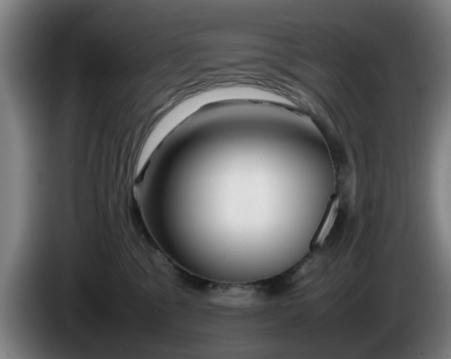 X0000086080329200703301134