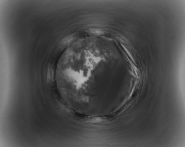 X0000086080330200703301134