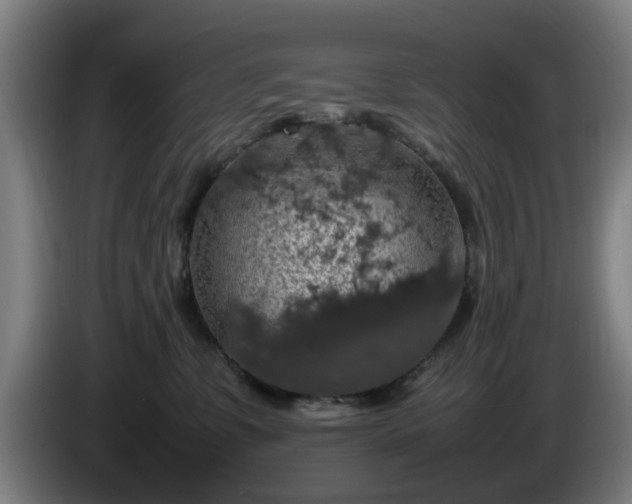 X0000086080331200703301134