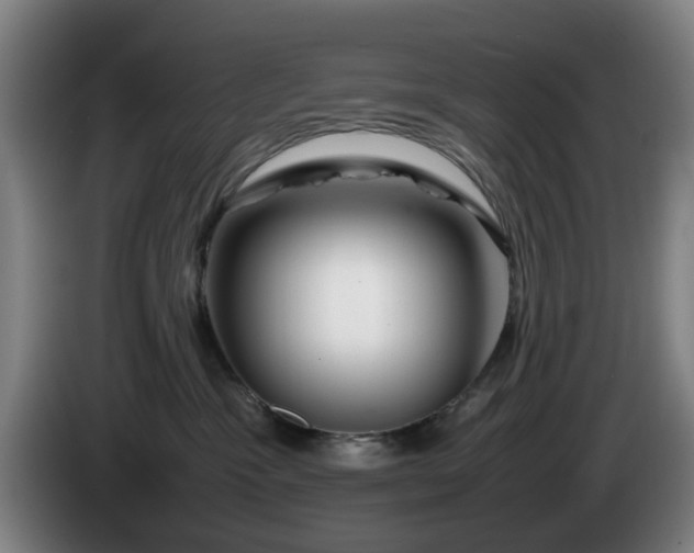 X0000086080333200703301134