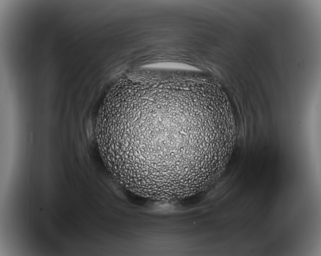 X0000086080335200703301134