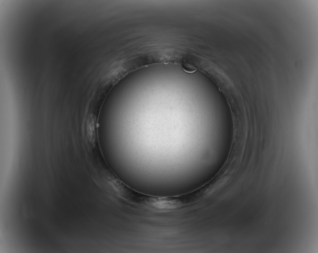 X0000086080336200703301134