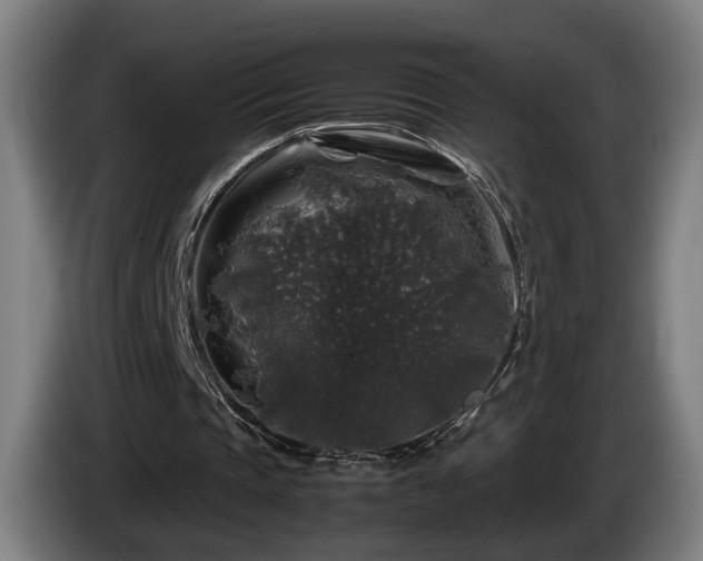 X0000086080337200703301133