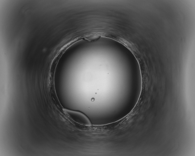 X0000086080338200703301133