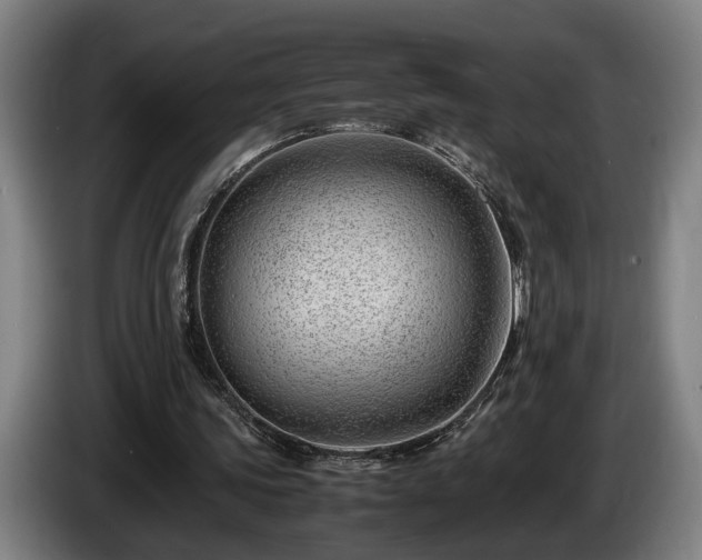 X0000086080339200703301133