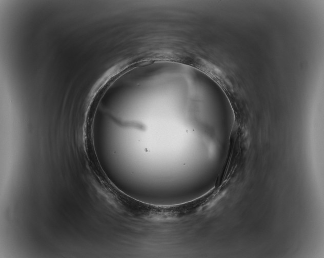 X0000086080340200703301133