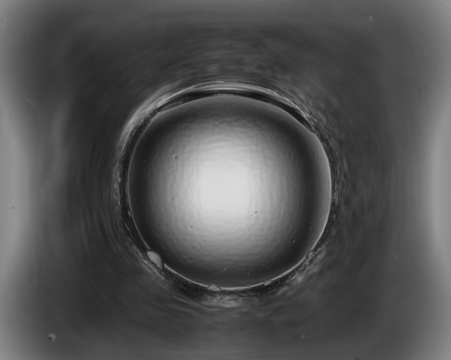 X0000086080341200703301133